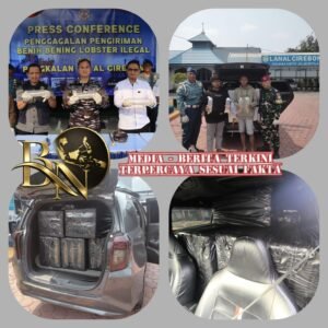 TNI AL Gagalkan Penyelundupan 75.435 Ekor Benih Bening Lobster Senilai Miliaran Rupiah